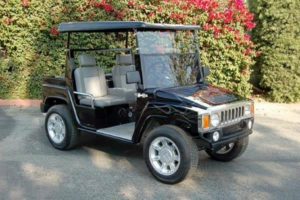 affordable golf cart rental, golf cart rent